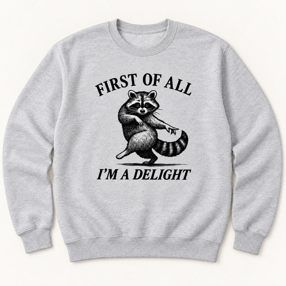 Funny Raccoon — garment mockup or size chart
