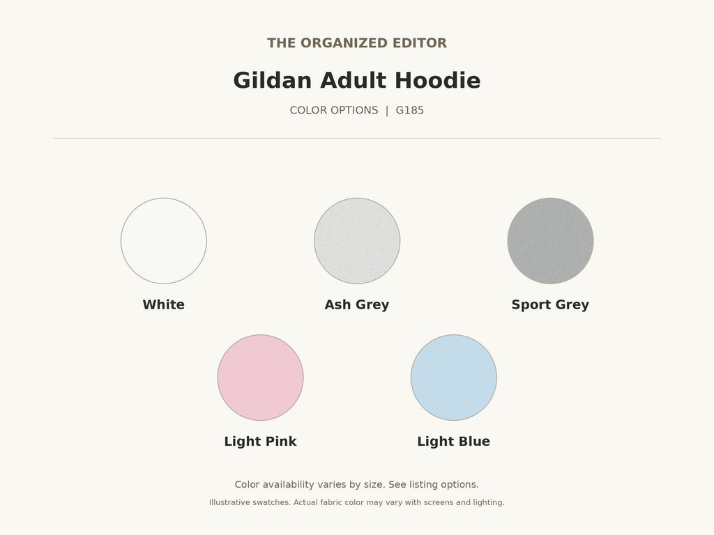 Funny Raccoon — garment mockup or size chart