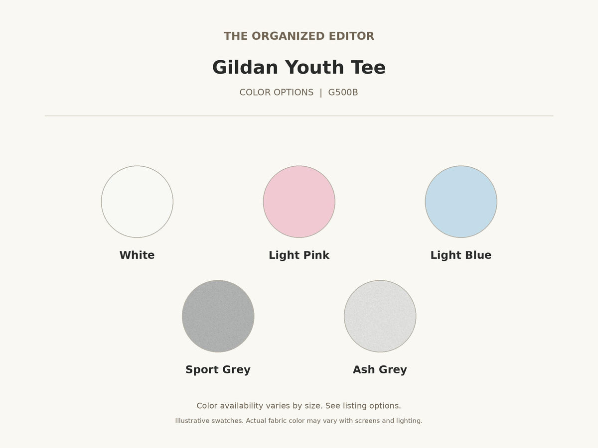 Funny Raccoon — garment mockup or size chart