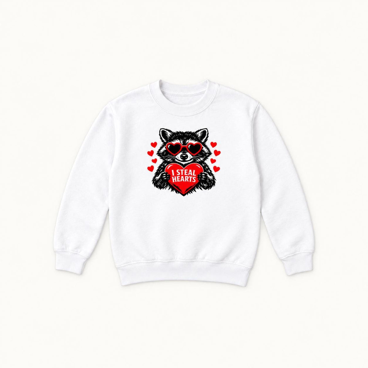 I Steal Hearts Raccoon — garment mockup or size chart