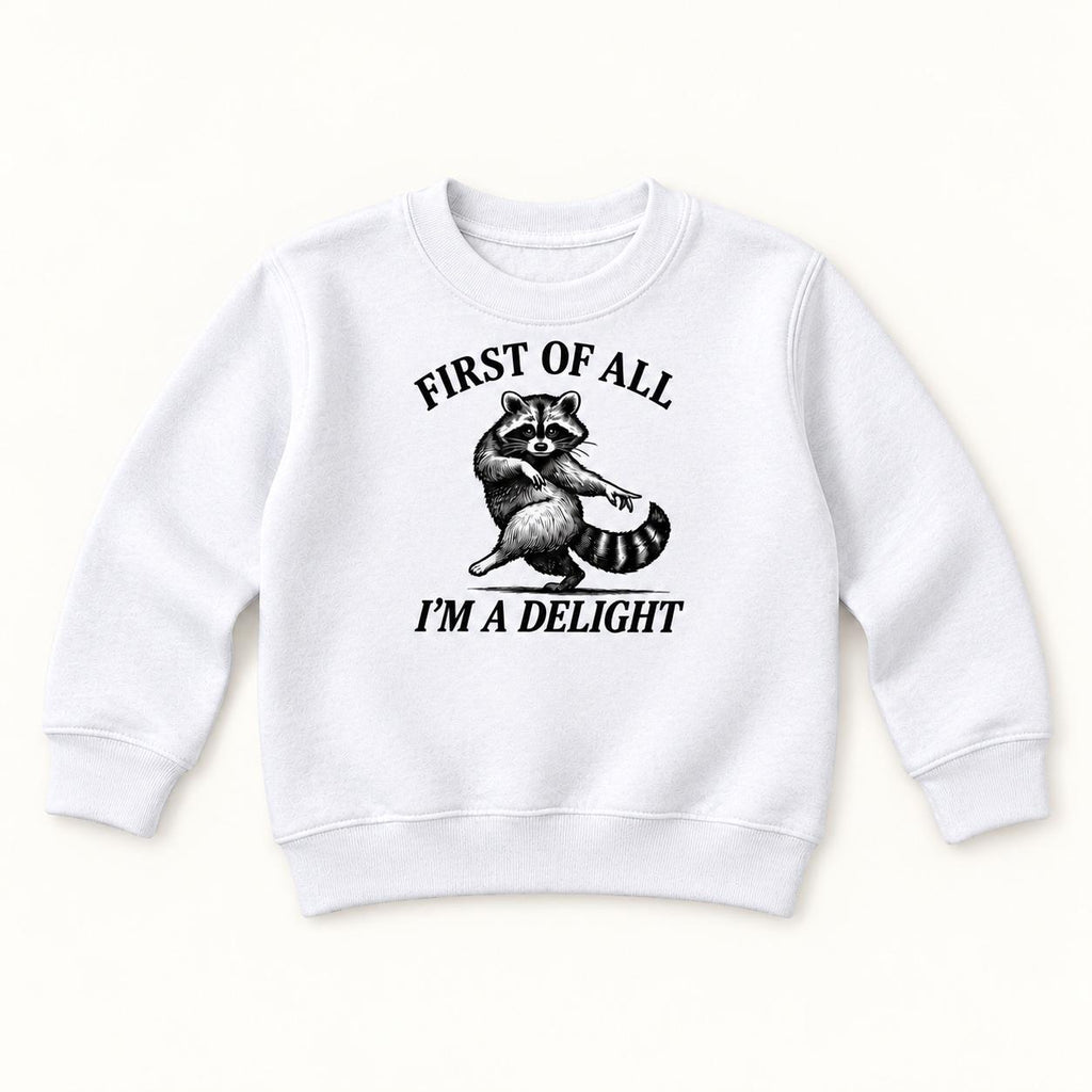 Funny Raccoon — garment mockup or size chart