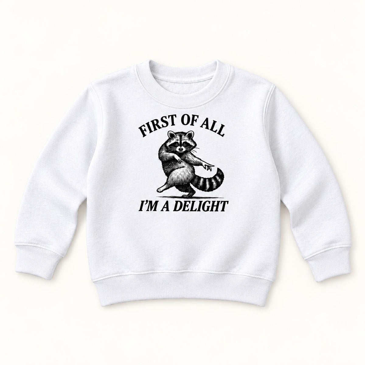 Funny Raccoon — garment mockup or size chart