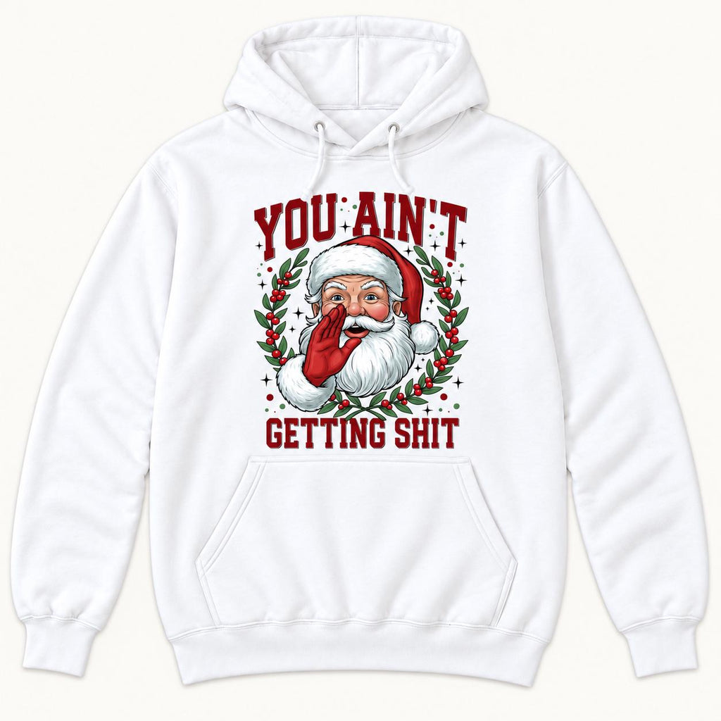 You Ain’t Getting Shit — garment mockup or size chart