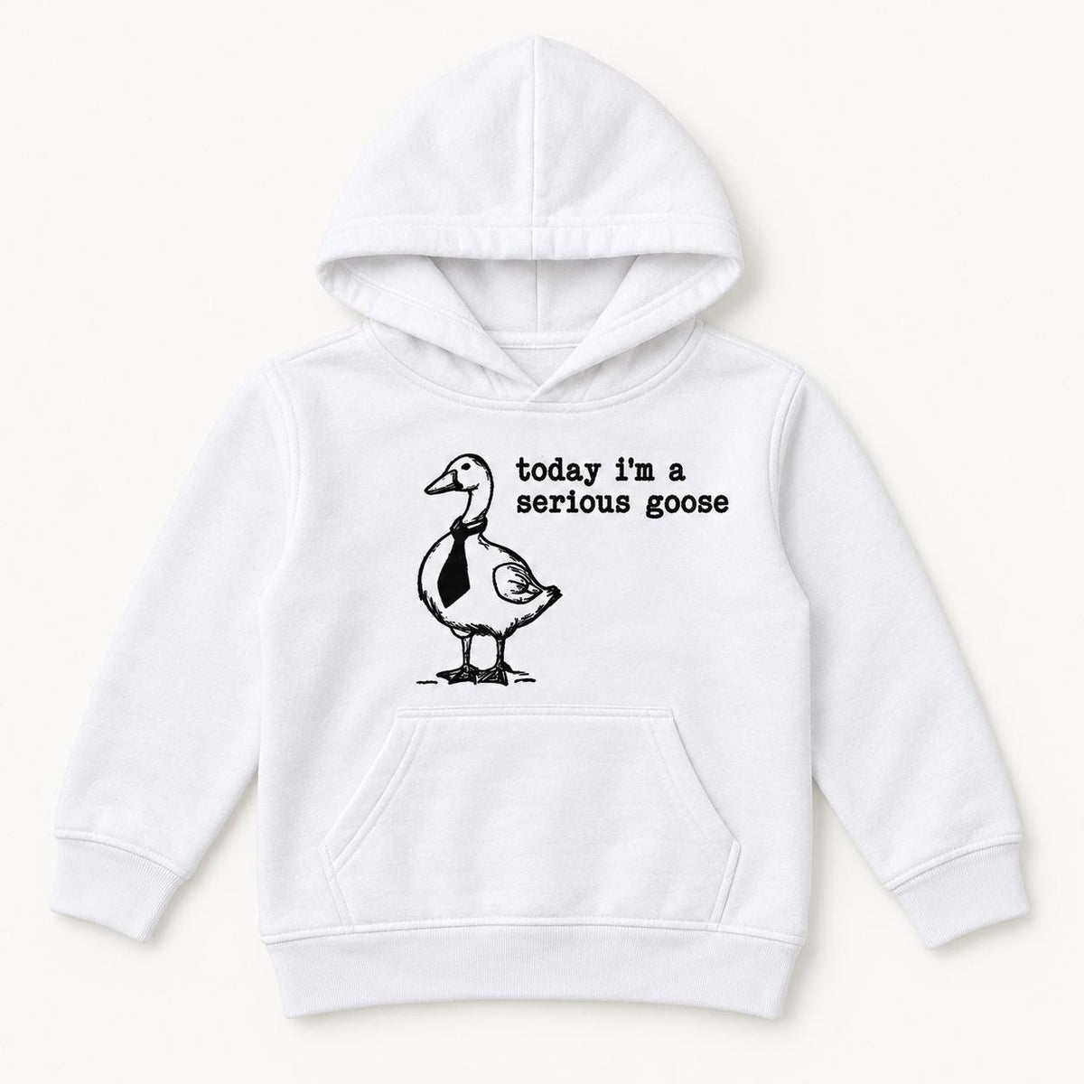 Today I'm a Serious Goose — garment mockup or size chart