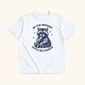 If I'm Moody Give Me Foody Raccoon — garment mockup or size chart