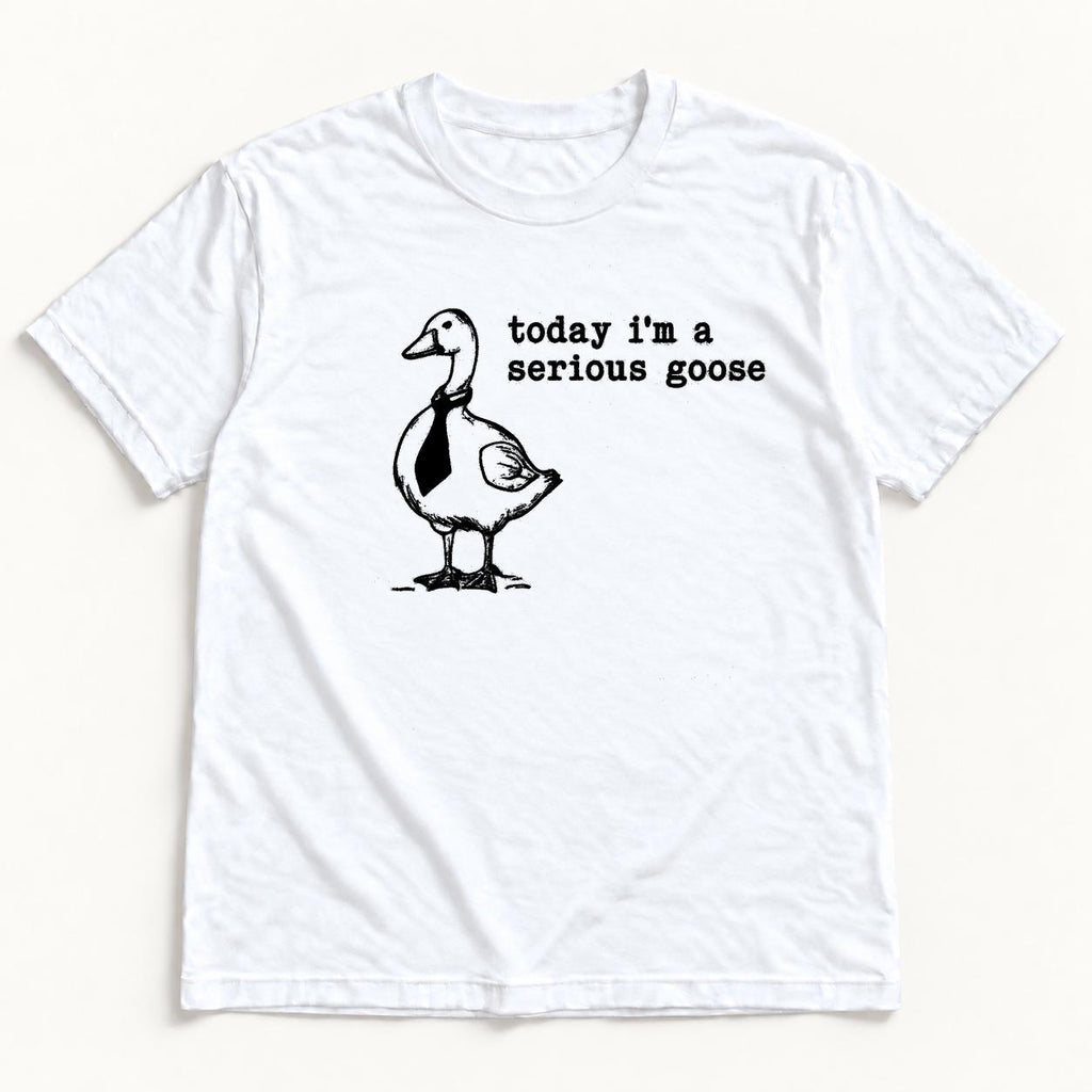 Today I'm a Serious Goose — garment mockup or size chart