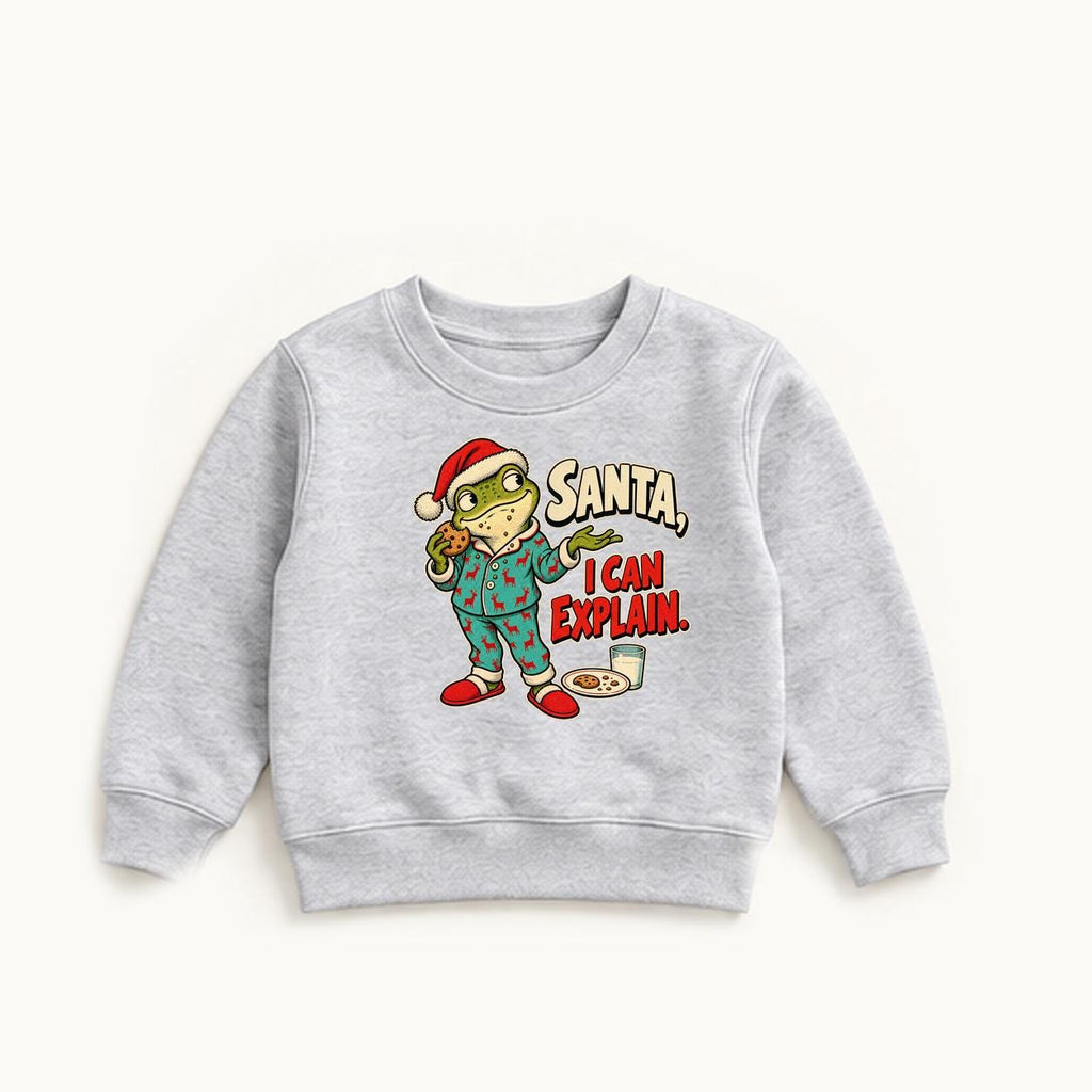 Santa I Can Explain — garment mockup or size chart