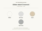 Funny Raccoon — garment mockup or size chart