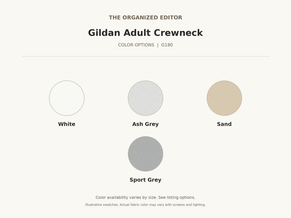 Funny Raccoon — garment mockup or size chart
