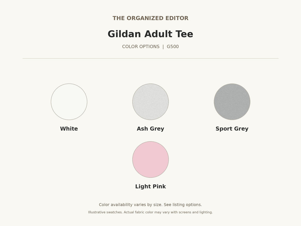 Funny Raccoon — garment mockup or size chart