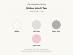 Funny Raccoon — garment mockup or size chart