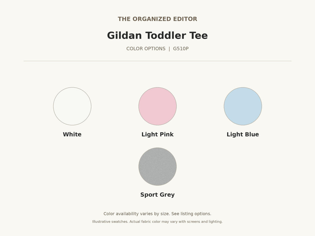 Funny Raccoon — garment mockup or size chart