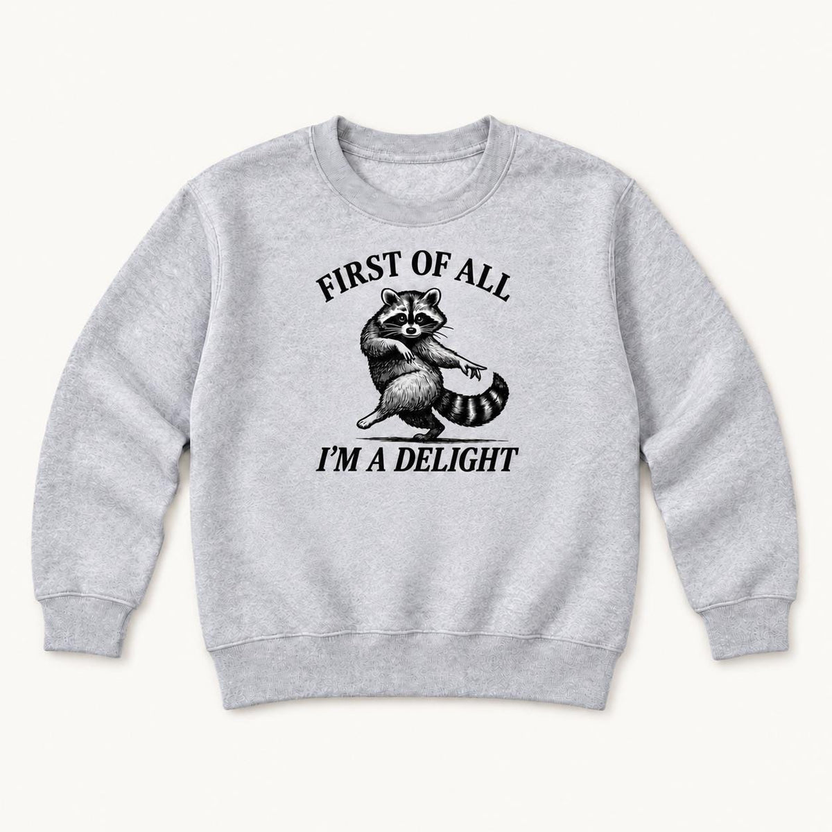 Funny Raccoon — garment mockup or size chart