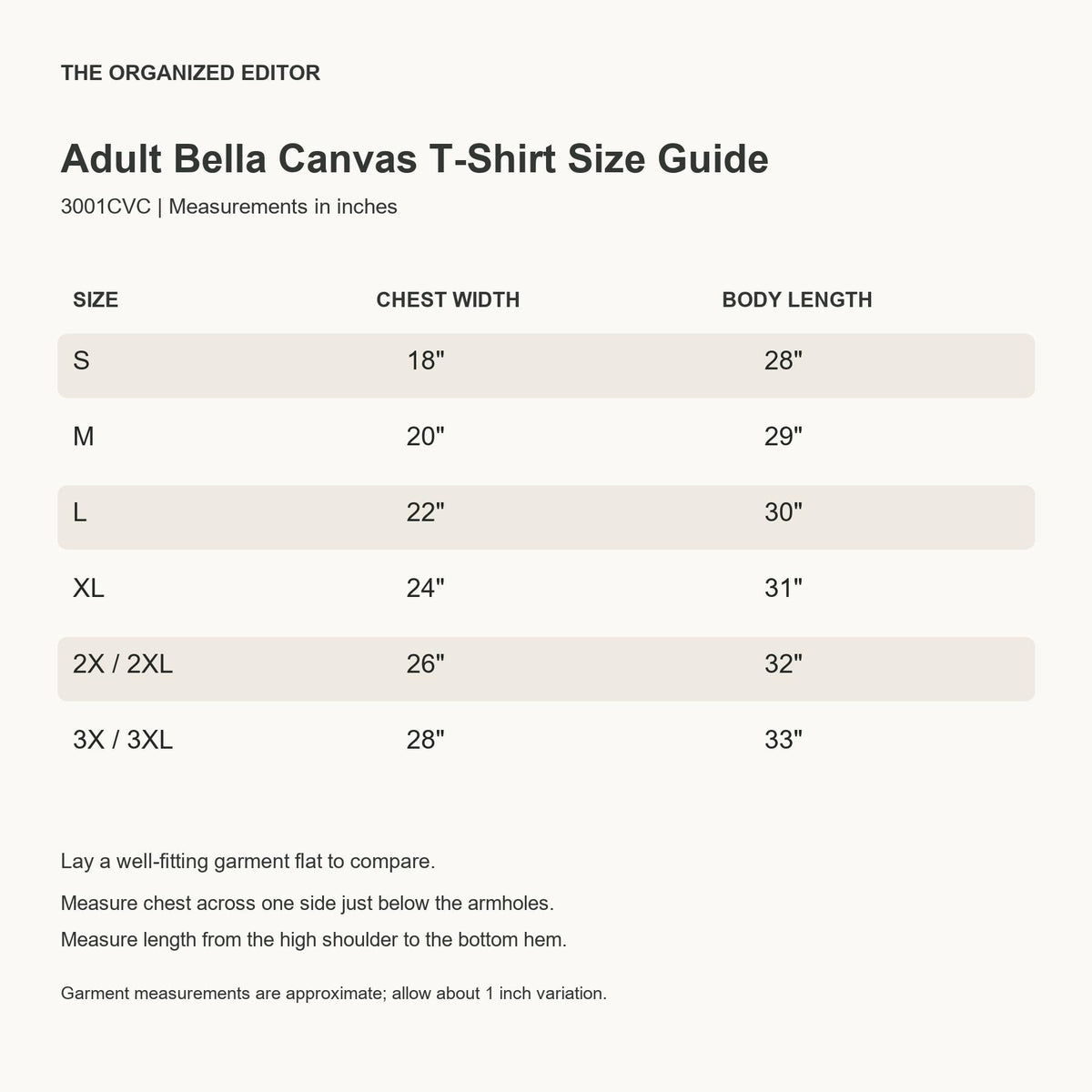Overstimulated Raccoon — garment mockup or size chart