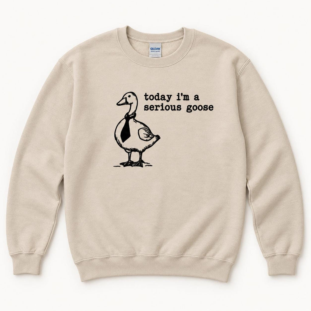 Today I'm a Serious Goose — garment mockup or size chart