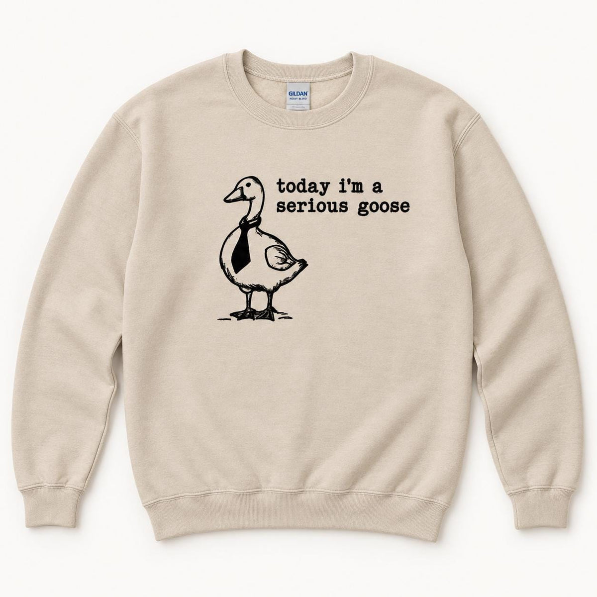 Today I'm a Serious Goose — garment mockup or size chart