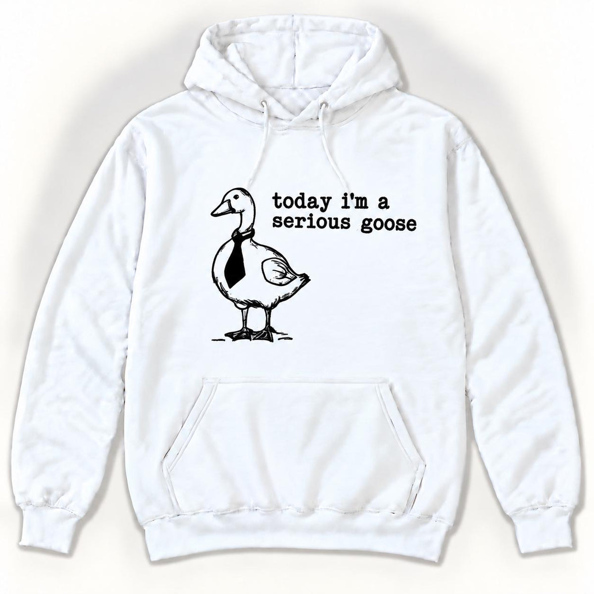 Today I'm a Serious Goose — garment mockup or size chart