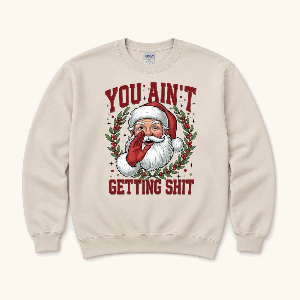 You Ain’t Getting Shit — garment mockup or size chart