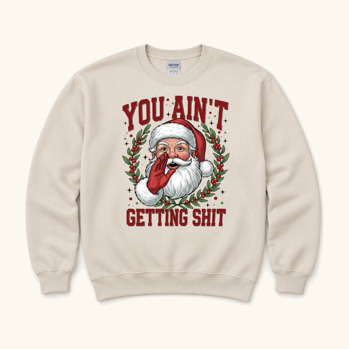 You Ain’t Getting Shit — garment mockup or size chart