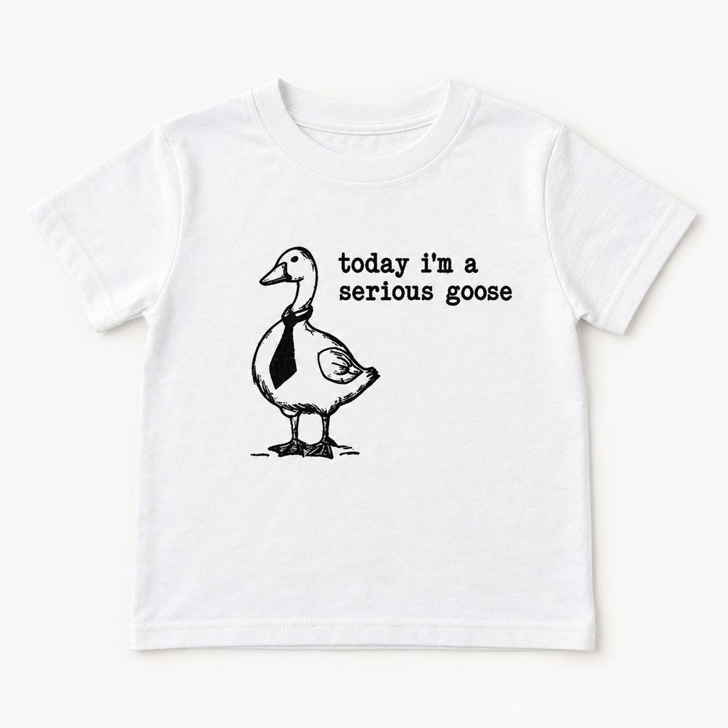 Today I'm a Serious Goose — garment mockup or size chart