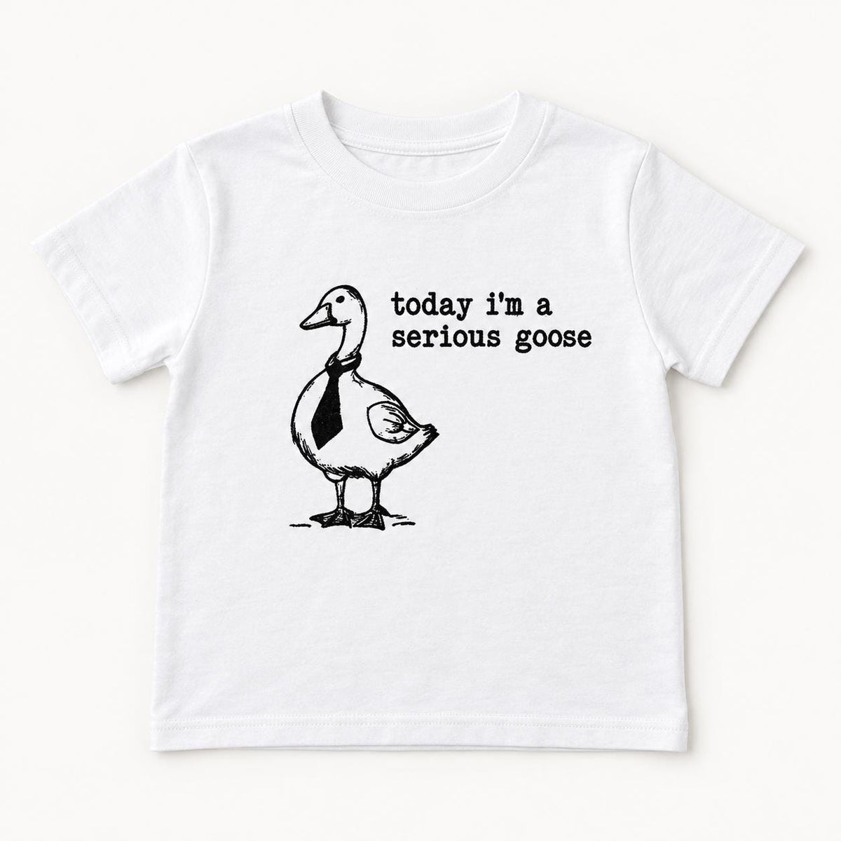 Today I'm a Serious Goose — garment mockup or size chart