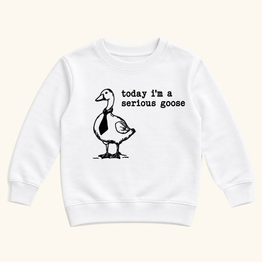 Today I'm a Serious Goose — garment mockup or size chart