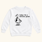 Today I'm a Serious Goose — garment mockup or size chart