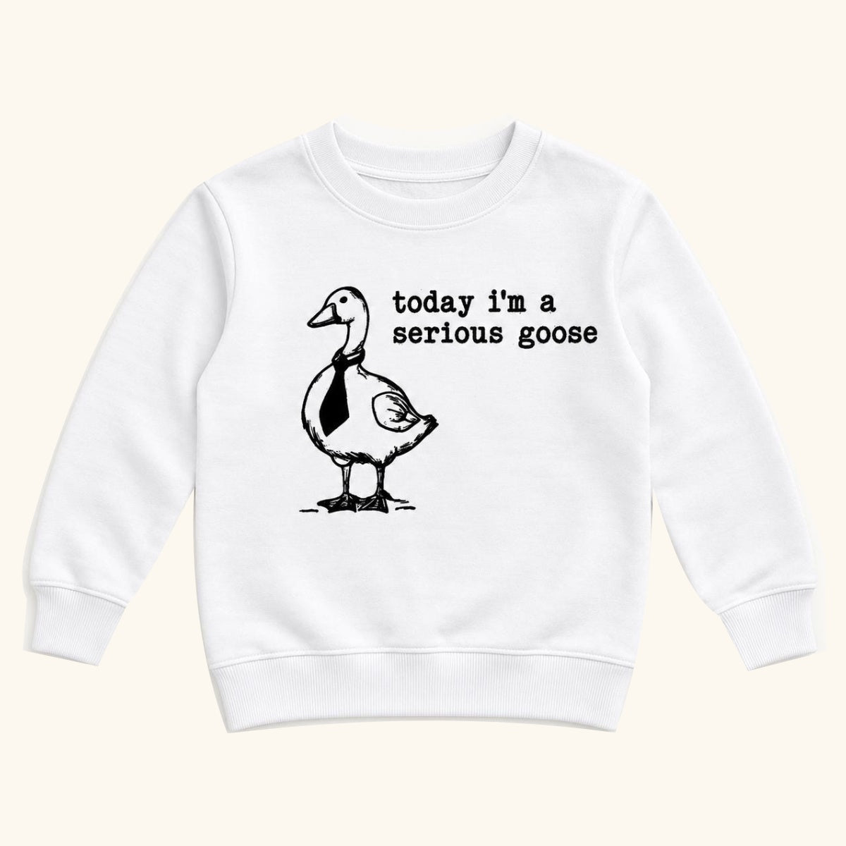 Today I'm a Serious Goose — garment mockup or size chart