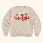 What I Want for Christmas Is a Long Nap — garment mockup or size chart