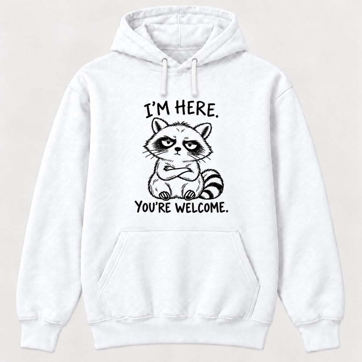 I'm Here You're Welcome Raccoon — garment mockup or size chart