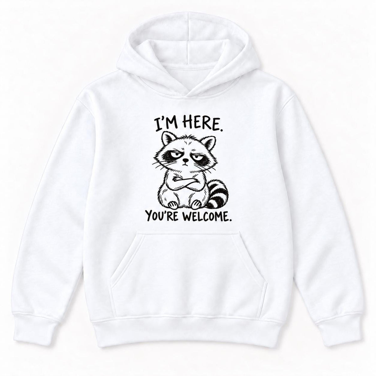 I'm Here You're Welcome Raccoon — garment mockup or size chart