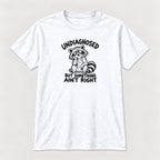 Undiagnosed But Something Ain't Right Raccoon — garment mockup or size chart