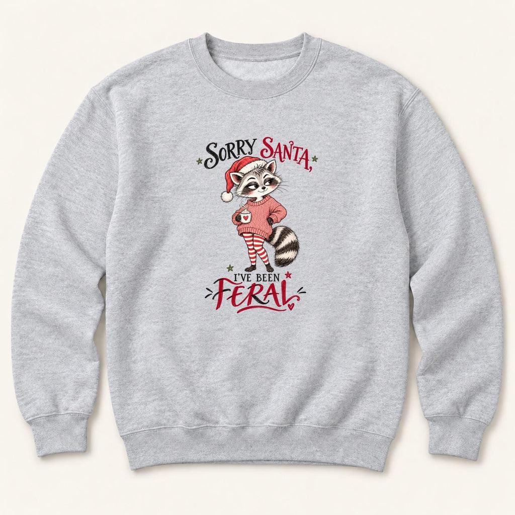 Sorry Santa Ive Been Feral Blush Sweater Raccoon — garment mockup or size chart