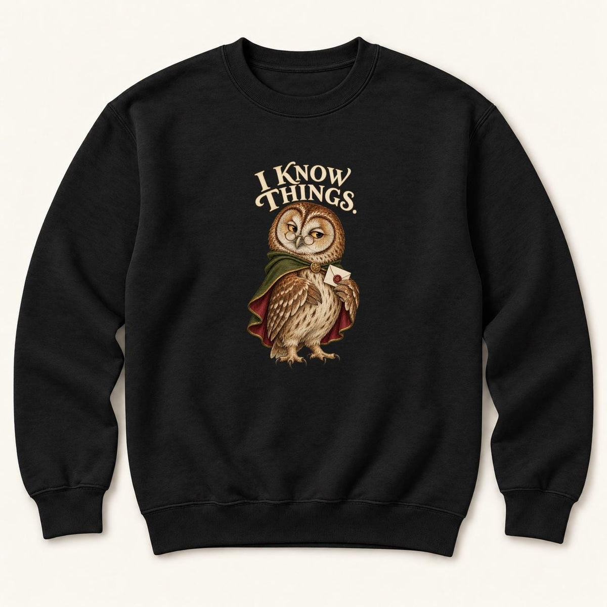 I Know Things Storybook Owl Black — garment mockup or size chart