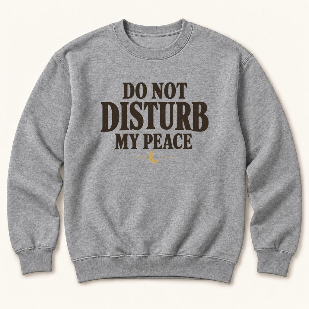Do Not Disturb My Peace — garment mockup or size chart
