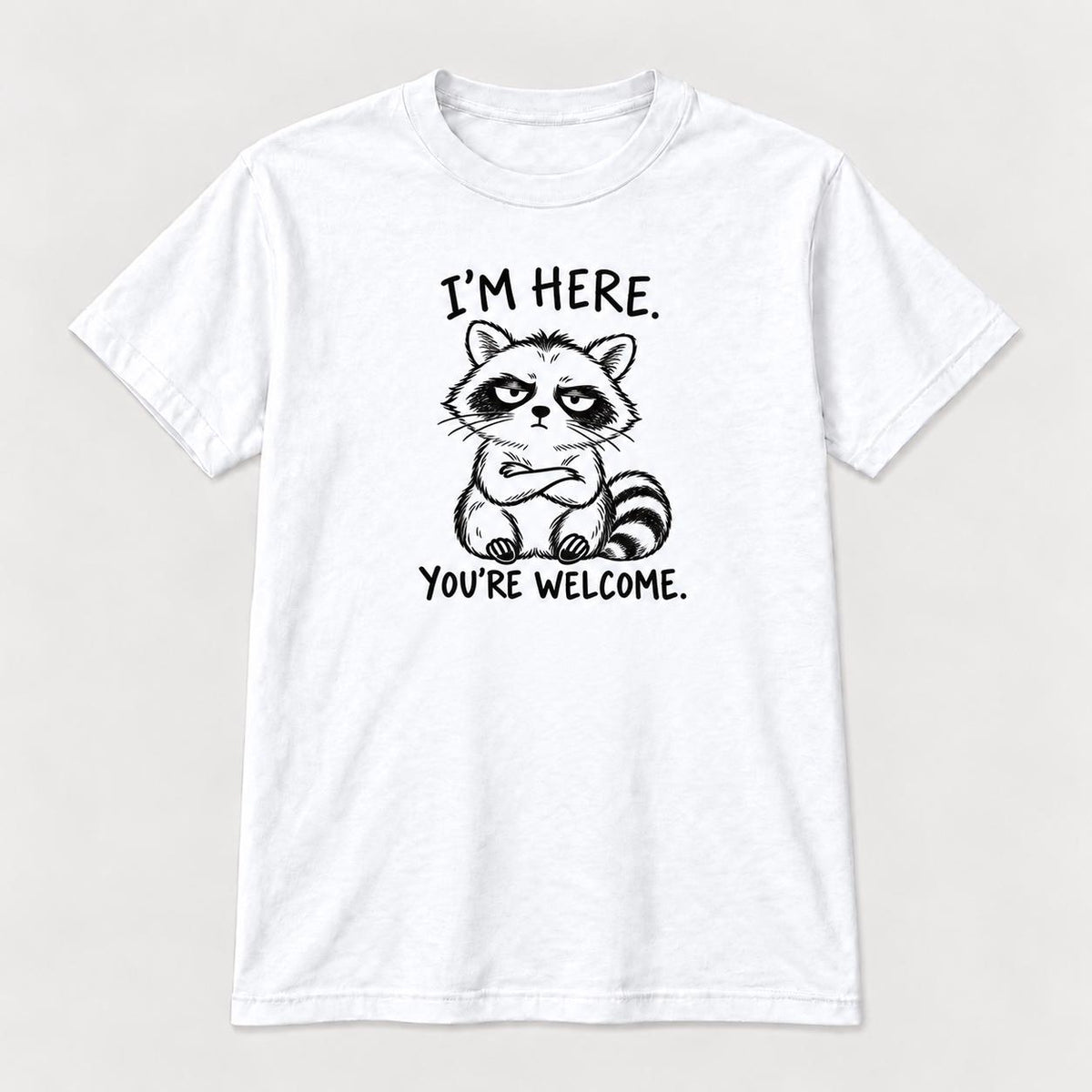 I'm Here You're Welcome Raccoon — garment mockup or size chart