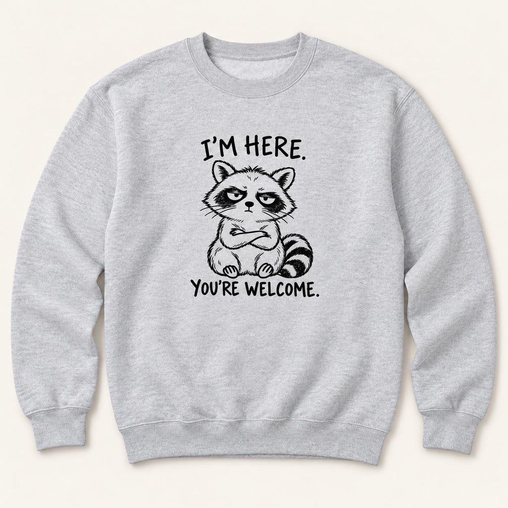 I'm Here You're Welcome Raccoon — garment mockup or size chart
