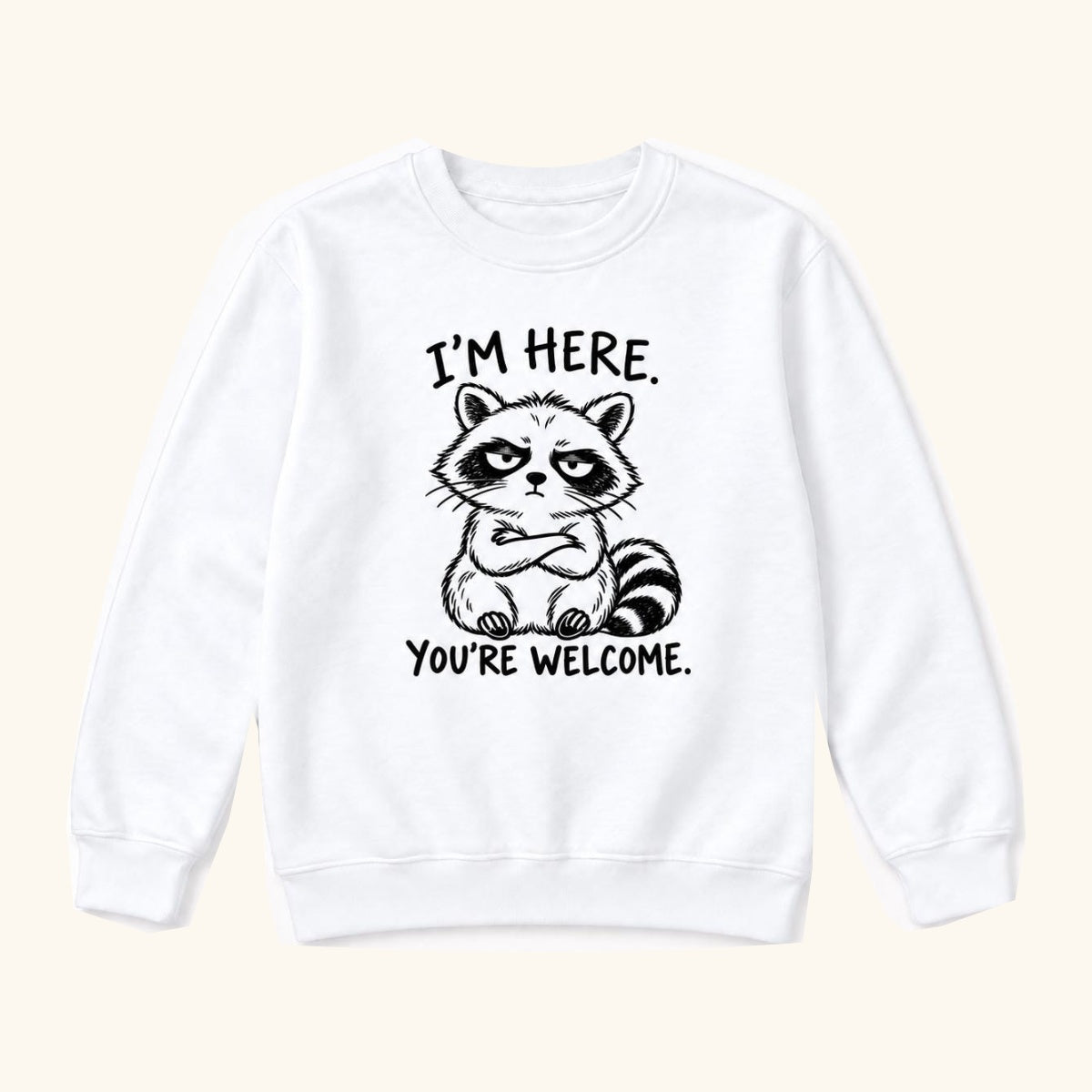 I'm Here You're Welcome Raccoon — garment mockup or size chart