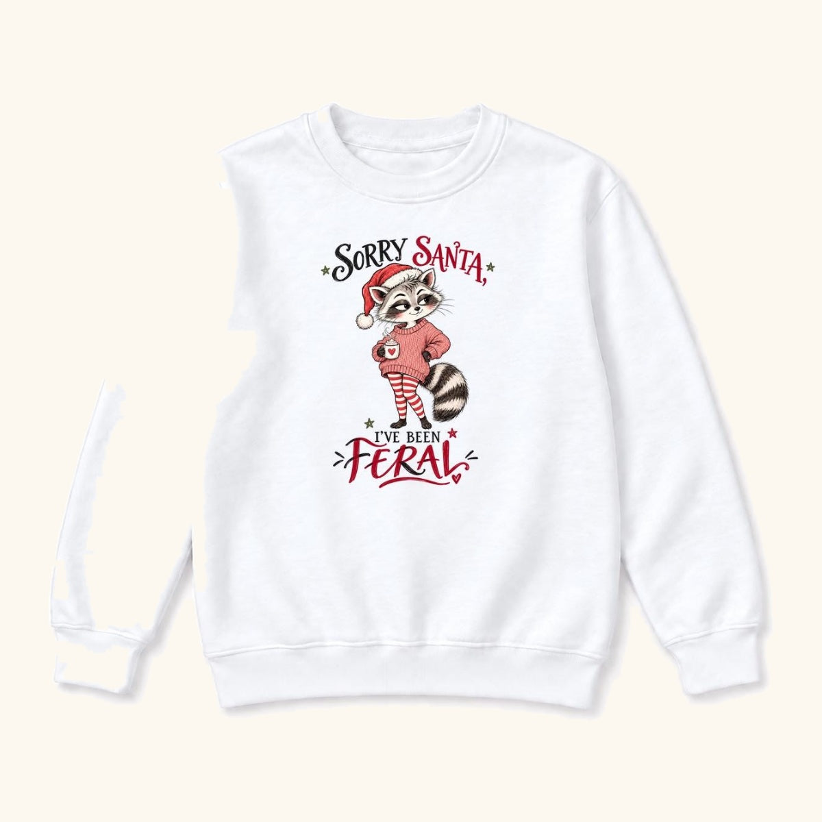 Sorry Santa Ive Been Feral Blush Sweater Raccoon — garment mockup or size chart